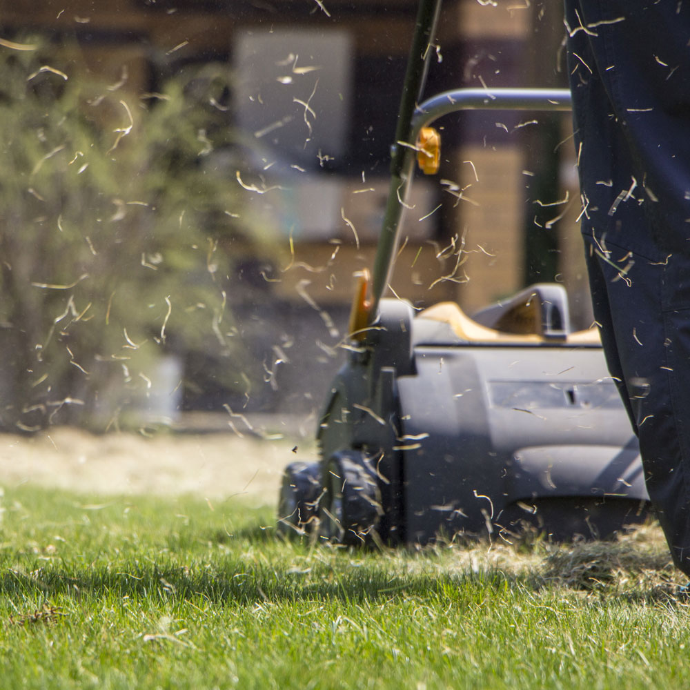 lawn aeration services